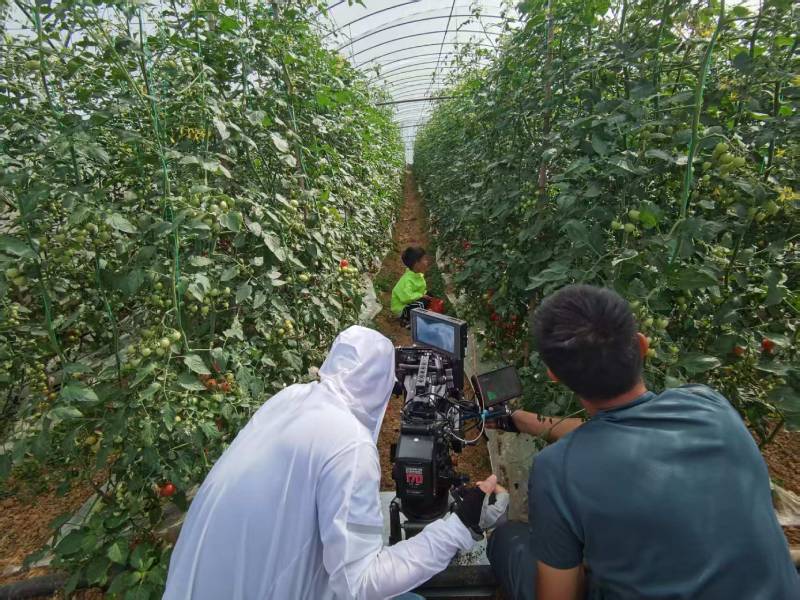 高效落地，镇赉县TVC拍摄公司助力品牌抢占市场先机